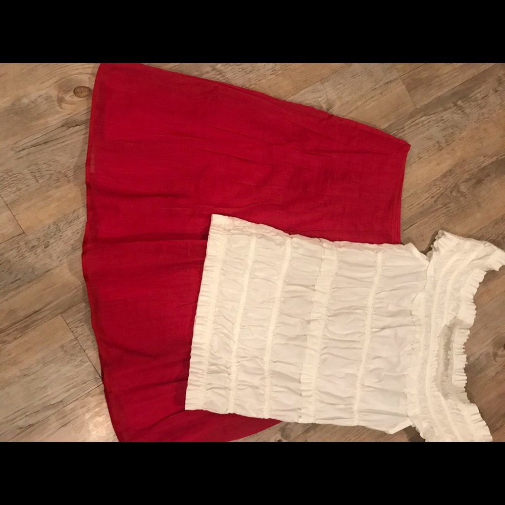 Jcrew skirt